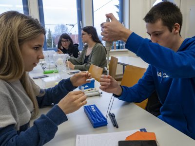 Genanalysekurs der 8. Klassen