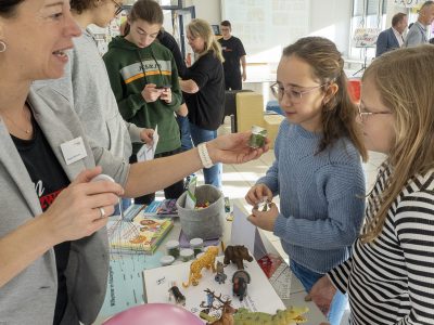 Schnuppertag am Tag des Gymnasiums